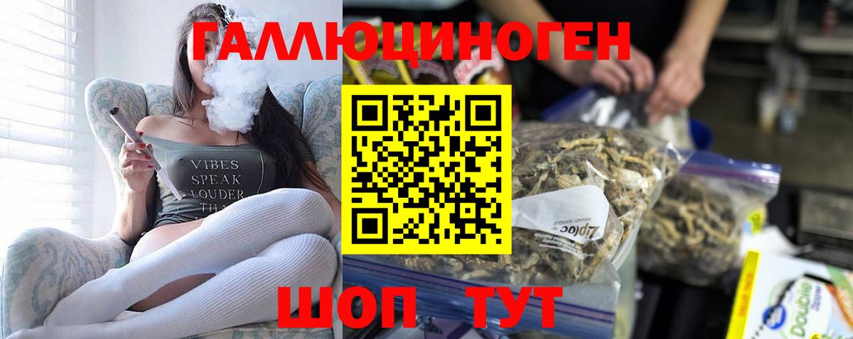 Электрогорск  Псилоцибиновые грибы GOLDEN TEACHER  Вход с VPN 