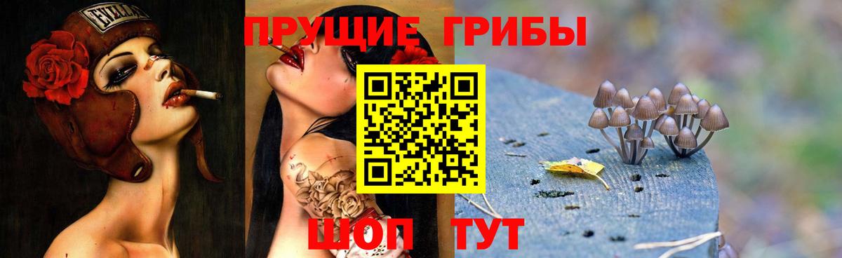 Псилоцибиновые грибы ЛСД Электрогорск